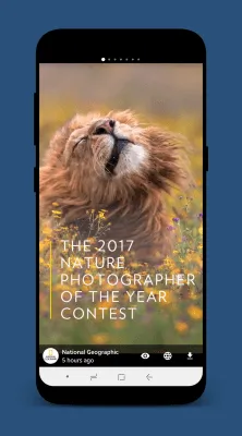 Скриншот приложения StorySave - №3