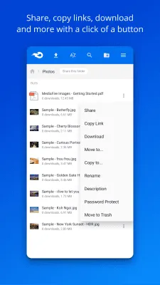 Скриншот приложения MediaFire - №3