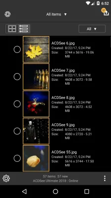 Скриншот приложения ACDSee Mobile Sync - №2