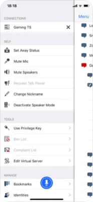 Скриншот приложения TeamSpeak 3 - №4