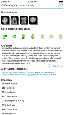 Скриншот приложения IMAIOS e-Anatomy - №3