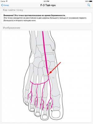Скриншот приложения Акупрессура: применение - №1