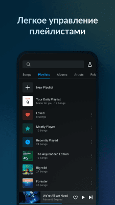 Скриншот приложения Lark Player - №3