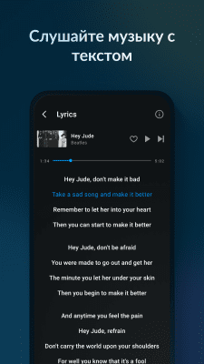 Скриншот приложения Lark Player - №4
