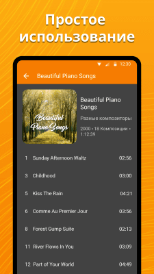 Скриншот приложения Простой плеер - №3