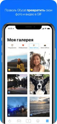 Скриншот приложения Gfycat: GIFки, стикеры и мемы - №4