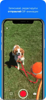 Скриншот приложения Gfycat: GIFки, стикеры и мемы - №5