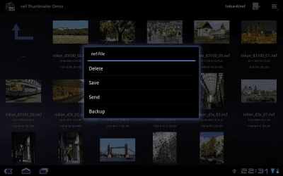 Скриншот приложения nef-Thumbnailer Demo - №3