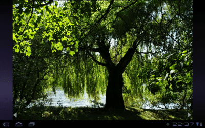 Скриншот приложения nef-Thumbnailer Demo - №6