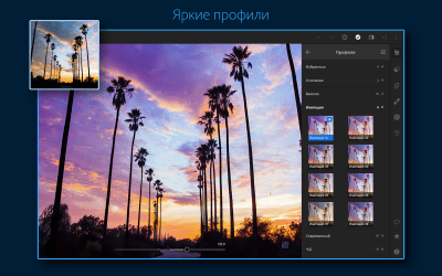 Скриншот приложения Adobe Lightroom - Фоторедактор - №12