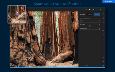 Скриншот приложения Adobe Lightroom - Фоторедактор - №14