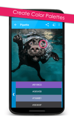 Скриншот приложения Pipette - №3