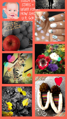 Скриншот приложения PIQNICK - №4