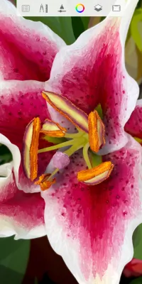 Скриншот приложения Autodesk SketchBook - №5