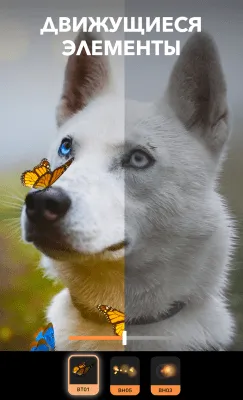 Скриншот приложения Motionleap от Lightricks - №3