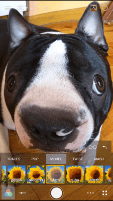 Скриншот приложения Cameringo Lite Камера эффектов - №7