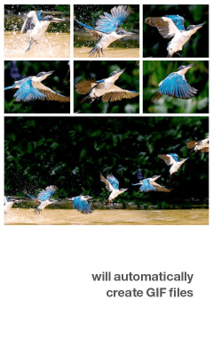 Скриншот приложения Silent Camera - №5