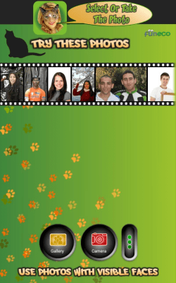 Скриншот приложения Look Like Cat - №4
