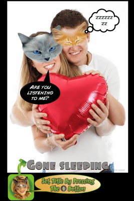 Скриншот приложения Look Like Cat - №10