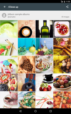 Скриншот приложения jAlbum - №5