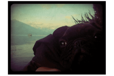 Скриншот приложения Lomo Camera FX - №3