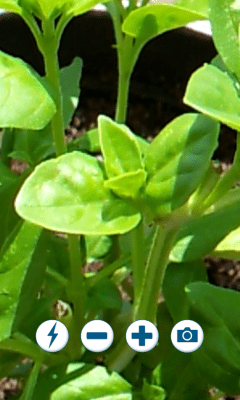 Скриншот приложения camera zoom free - №3