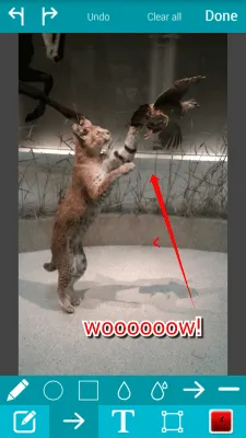 Скриншот приложения Nimbus Clipper - №4