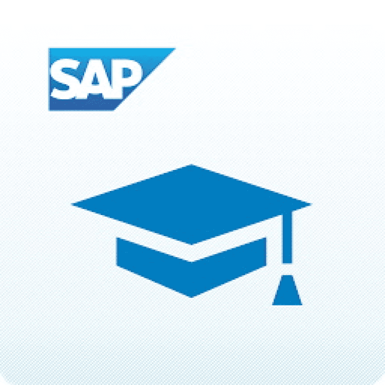 Support academy. Поддержка SAP. SAP Enterprise. SAP logo. Enterprise иконка.