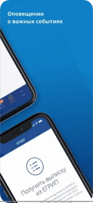 Скриншот приложения Личный кабинет предпринимателя - №5