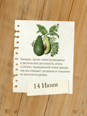 Скриншот приложения 365 советов про еду - №3