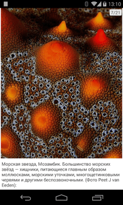 Скриншот приложения Фото новости - №8