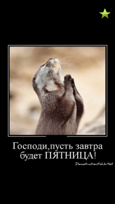 Скриншот приложения айДемотваторы - №8