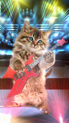 Скриншот приложения Говорящая кошка. Танцует! - №5