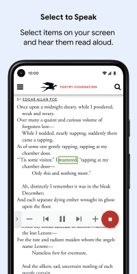 Скриншот приложения Google Специальные возможности - №3