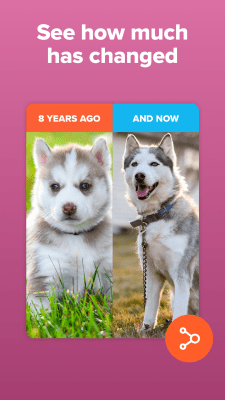 Скриншот приложения Timehop - №3