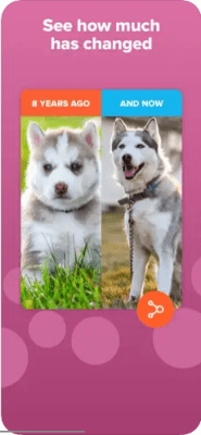 Скриншот приложения Timehop - №3