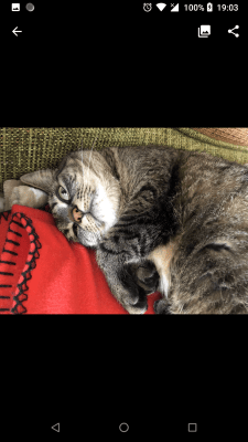 Скриншот приложения Luma - №3