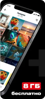 Скриншот приложения МТС Вторая память NEW для iOS - №3