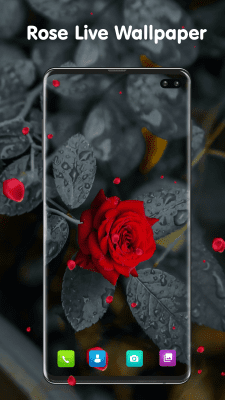 Скриншот приложения Transparent Live Wallpaper - №5