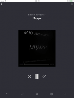 Скриншот приложения АйЧиталка S - №3