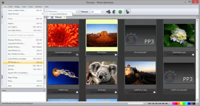 Скриншот приложения Photo Mechanic - №5