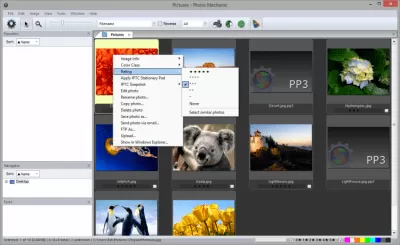 Скриншот приложения Photo Mechanic - №6