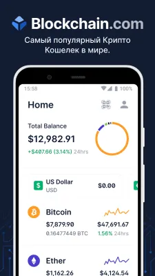 Скриншот приложения Blockchain Wallet - №1