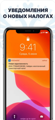 Скриншот приложения РосДолги: налоги ФЛ, ФНС - №7