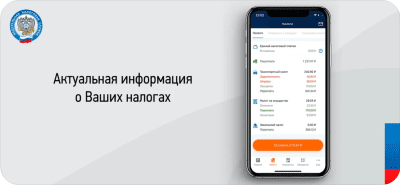 Скриншот приложения Налоги ФЛ iOS - №3