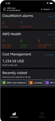 Скриншот приложения AWS Console - №9