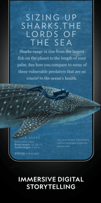 Скриншот приложения National Geographic - №3