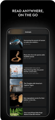 Скриншот приложения National Geographic для iOS - №2