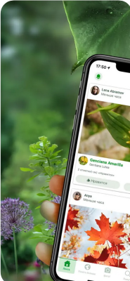 Скриншот приложения PlantSnap Определение Растени‪й - №2