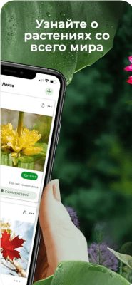 Скриншот приложения PlantSnap Определение Растени‪й - №3